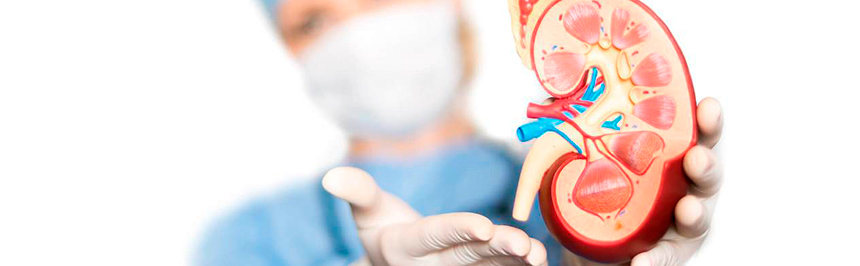 1603367677_urologija-lechenie.jpg 1603367677_urologija-lechenie.jpg