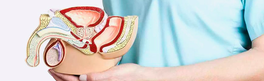 1603367391_urologija-lechenie.jpg 1603367391_urologija-lechenie.jpg