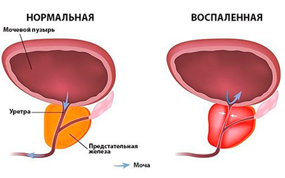 230984u.png 230984u.png