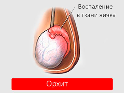 7784.png 7784.png
