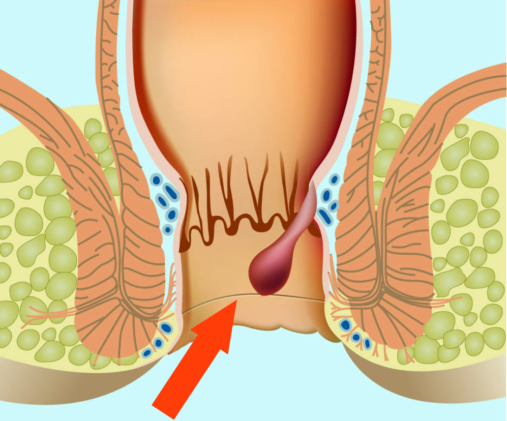 urologiya.jpg urologiya.jpg